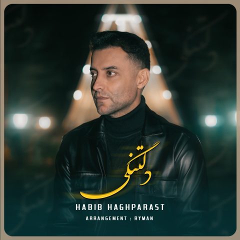 دانلود آهنگ حبیب حق پرست دلتنگی دانلود آهنگ حبیب حق پرست دلتنگی